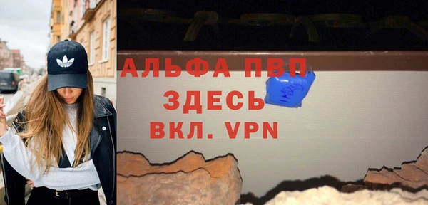 СК Алексин