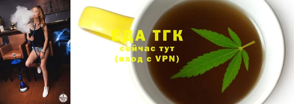СК Алексин