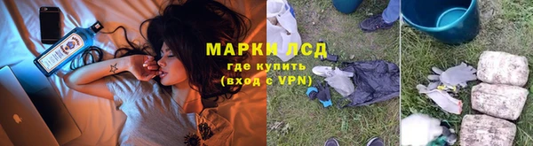 винт Алзамай