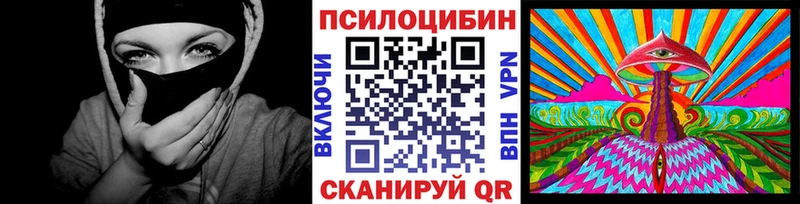 Псилоцибиновые грибы мицелий  купить закладку  Алзамай 